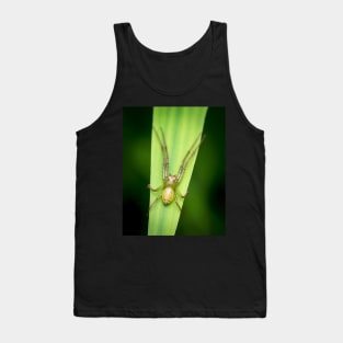 A lynx spider laying in wait Tank Top